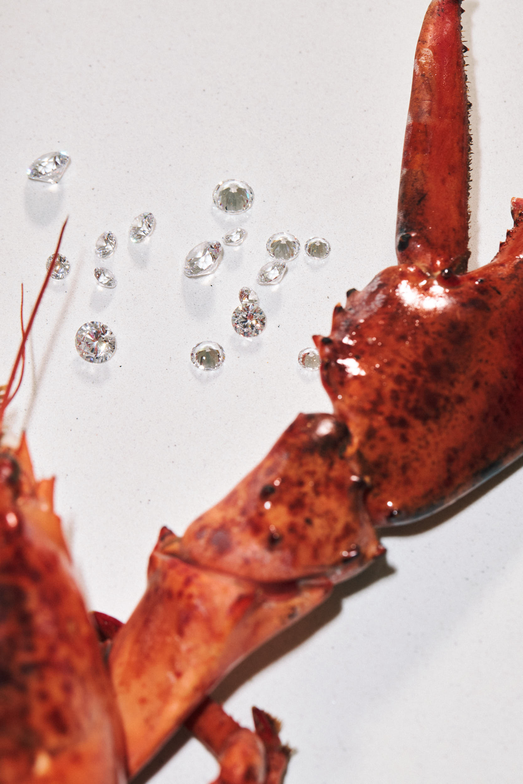 Juwelier / Micha Freutel